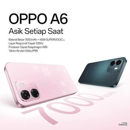 A6